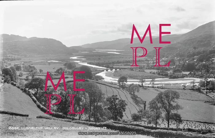 : Llanelytd Valley, Dolgelley : Llanelytd Valley, Dolgelley