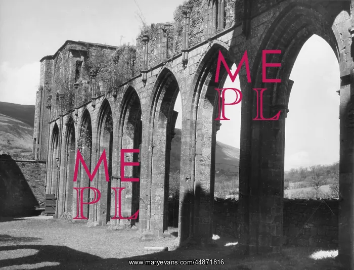 : LLANTHONY ABBEY : LLANTHONY ABBEY