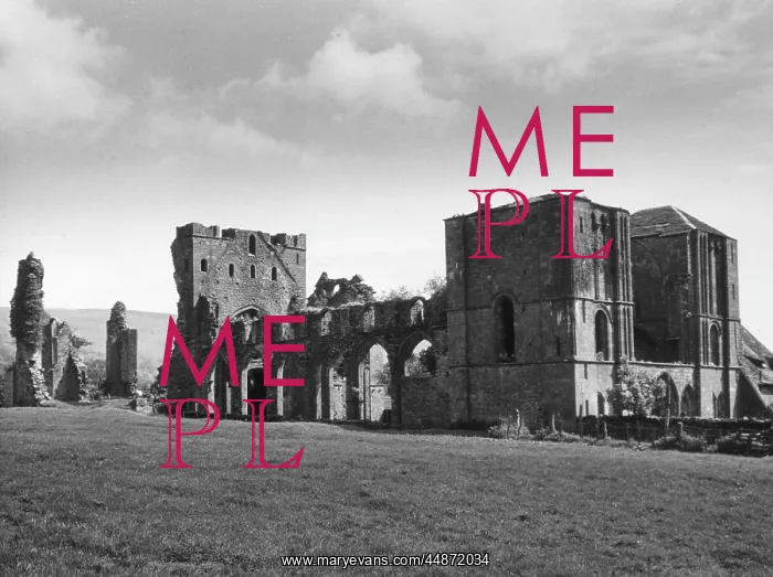 : LLANTHONY ABBEY : LLANTHONY ABBEY