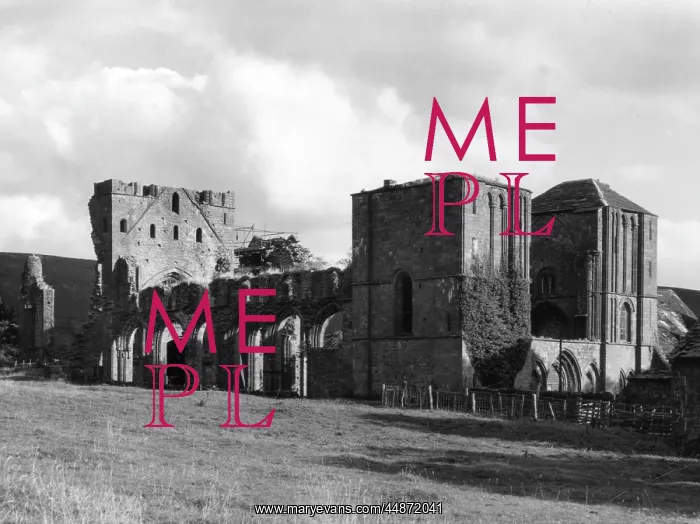 : LLANTHONY ABBEY : LLANTHONY ABBEY