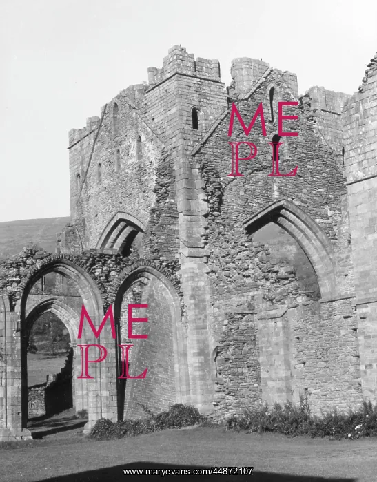 : LLANTHONY ABBEY : LLANTHONY ABBEY