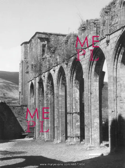 : LLANTHONY ABBEY : LLANTHONY ABBEY
