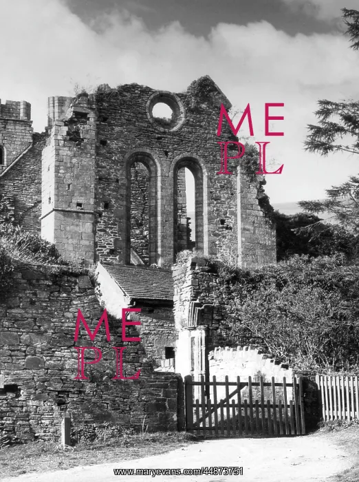 : LLANTHONY ABBEY : LLANTHONY ABBEY