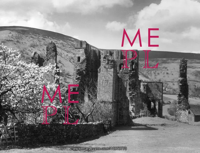 : LLANTHONY ABBEY : LLANTHONY ABBEY