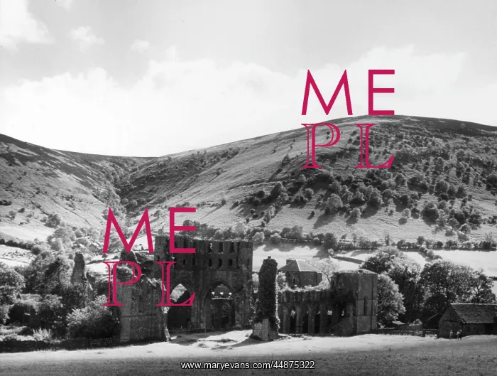 : LLANTHONY ABBEY : LLANTHONY ABBEY