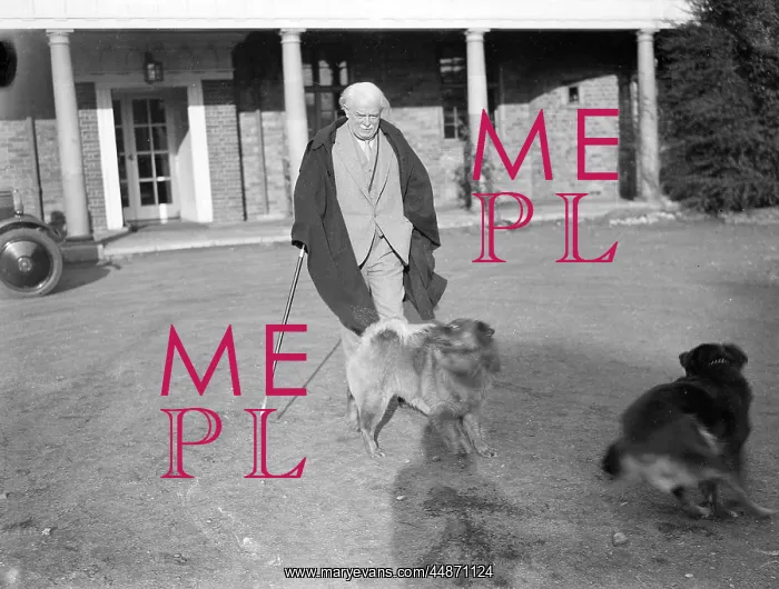 : LLOYD GEORGE & HIS DOG : LLOYD GEORGE & HIS DOG
