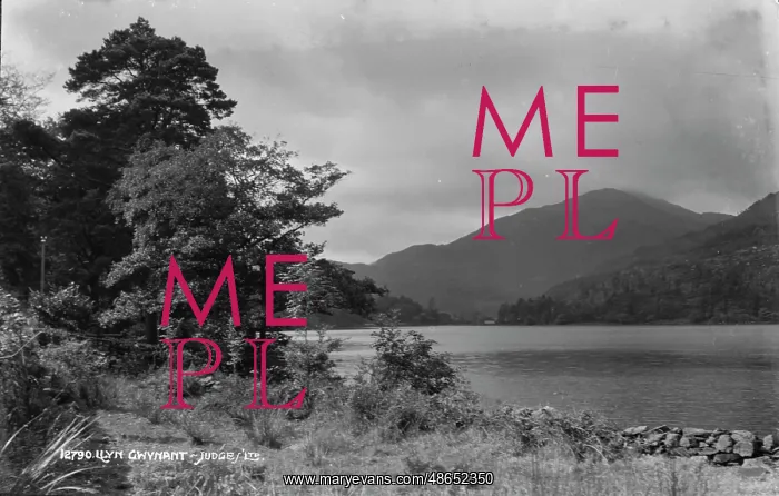 : Llyn Gwynant Landscape : Llyn Gwynant Landscape