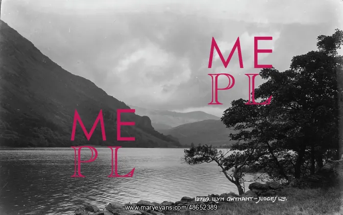 : Llyn Gwynant Landscape : Llyn Gwynant Landscape