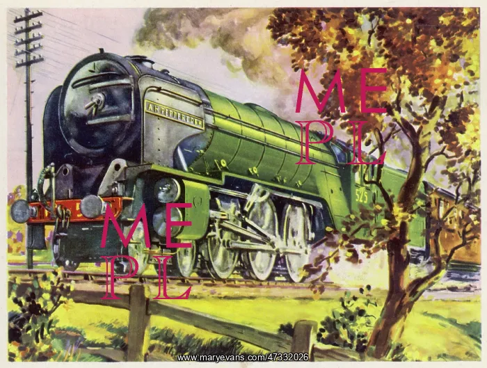 : LNER Pacific Class Locomotive : LNER Pacific Class Locomotive