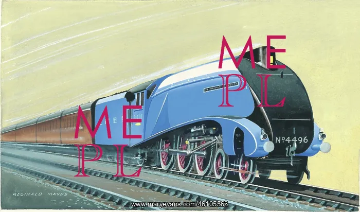 : LNER Streamlined Pacific Class No. 4496 Dwight D Eisenhower : LNER Streamlined Pacific Class No. 4496 Dwight D Eisenhower