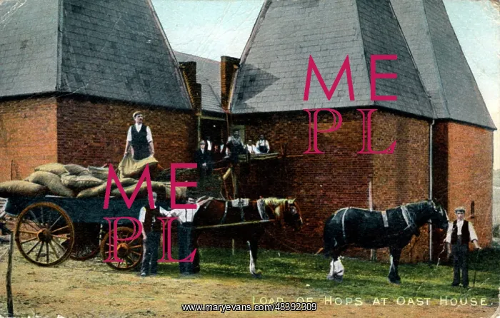 : Load of Hops at Oast House, Kent : Load of Hops at Oast House, Kent
