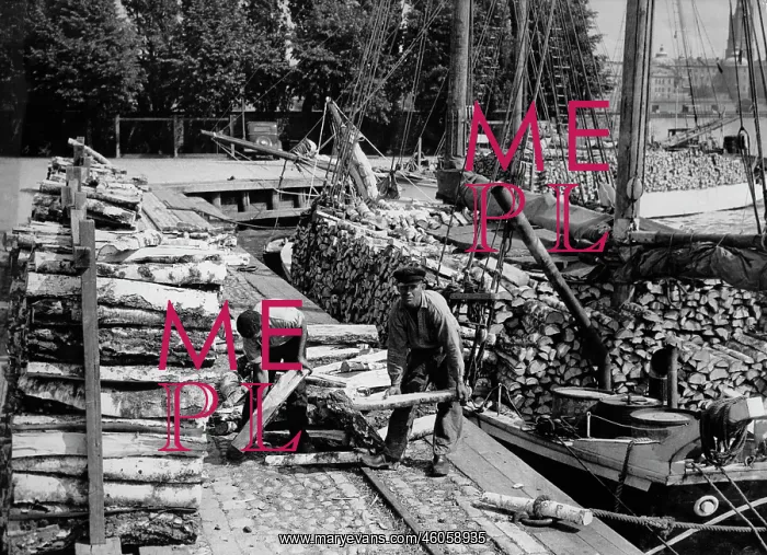 : Loading of birchwood for the prouction of vesta : Loading of birchwood for the prouction of vesta