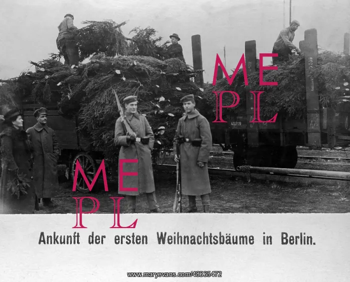 : Loading of Christmas trees at a Berlin train station, 1918 : Loading of Christmas trees at a Berlin train station, 1918