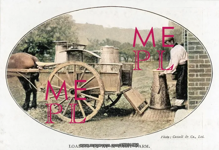 : LOADING CHURNS AT FARM : LOADING CHURNS AT FARM
