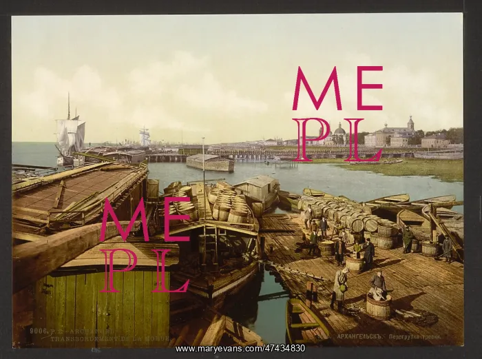 : Loading codfish, Archangel, Kola Peninsula, Russia : Loading codfish, Archangel, Kola Peninsula, Russia