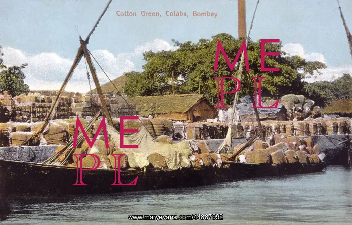  : LOADING COTTON, BOMBAY