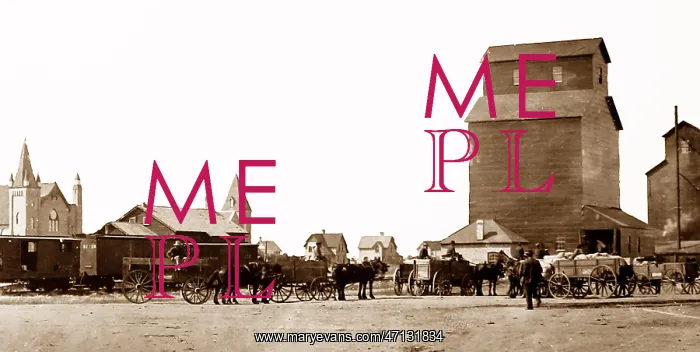  : Loading grain on the Canadian Prairies, early 1900s