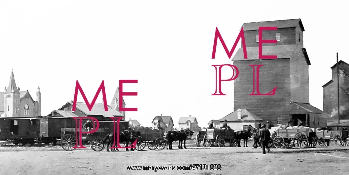  : Loading grain on the Prairies, Canada
