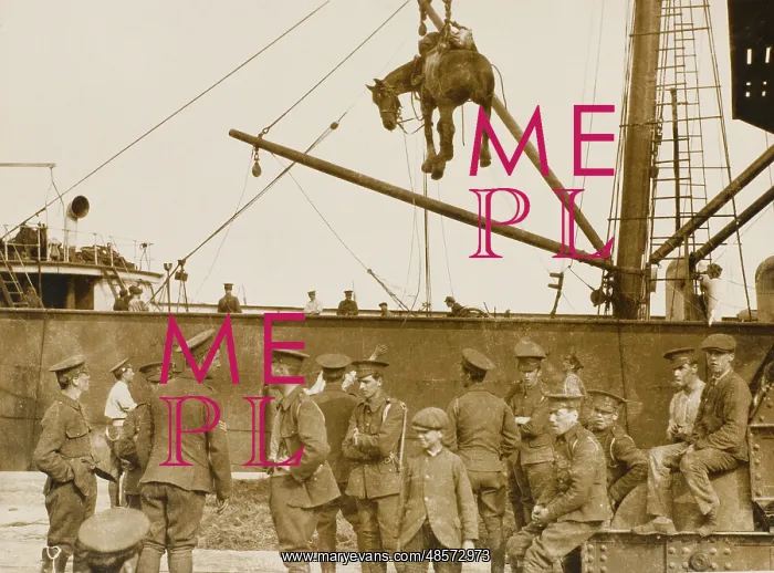 : Loading horses at Boulogne : Loading horses at Boulogne