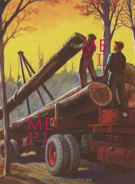  : Loading Lumber