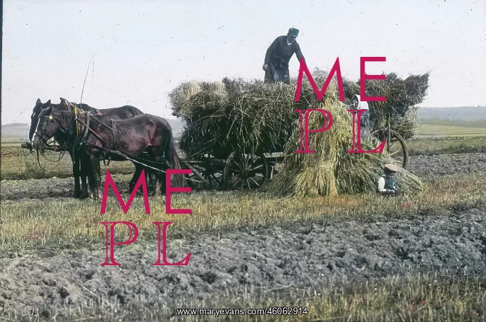 : Loading the sheaves : Loading the sheaves