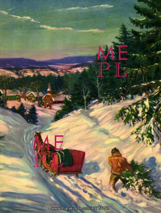  : Loading Tree on Sleigh