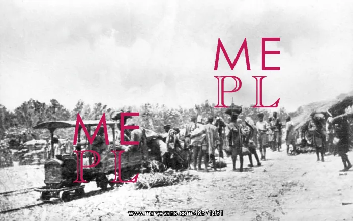 : Loading wounded onto mini railway, Schaedel's Farm, WW1 : Loading wounded onto mini railway, Schaedel's Farm, WW1