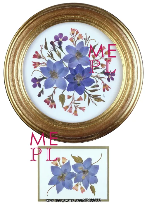 : Lobelia, Larkspur and Heuchera : Lobelia, Larkspur and Heuchera
