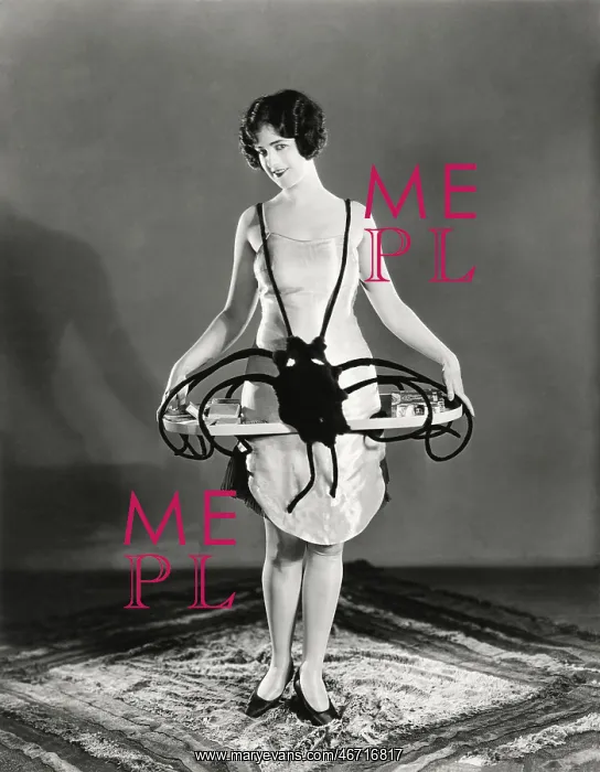  : Lobster apron -