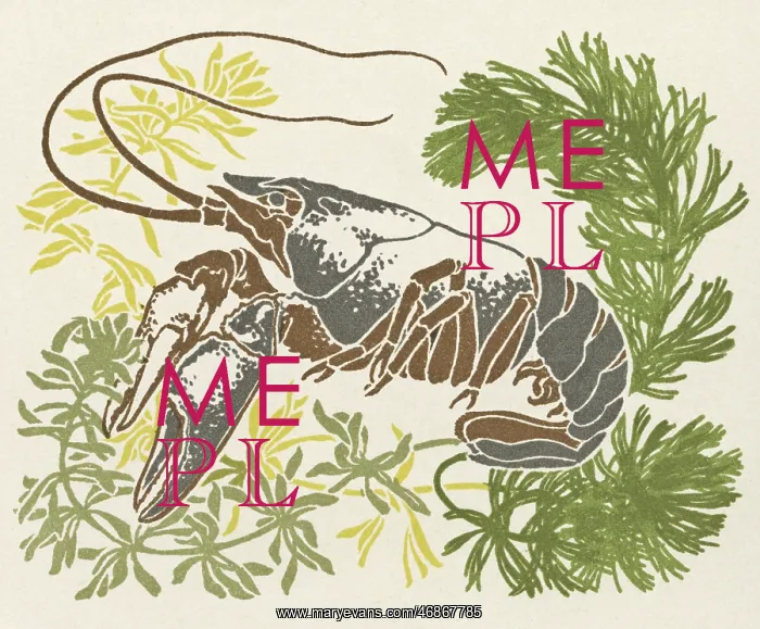 : Lobster and seaweed : Lobster and seaweed