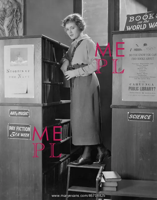 : Local librarian stocking books in library : Local librarian stocking books in library