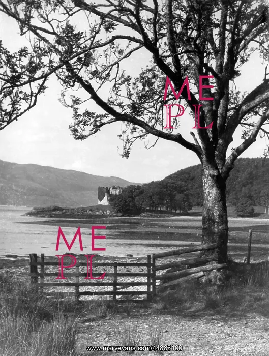 : LOCH FYNE. A view of the shores of Loch Fyne, with Castle Lachlan in the distance : LOCH FYNE. A view of the shores of Loch Fyne, with Castle Lachlan in the distance