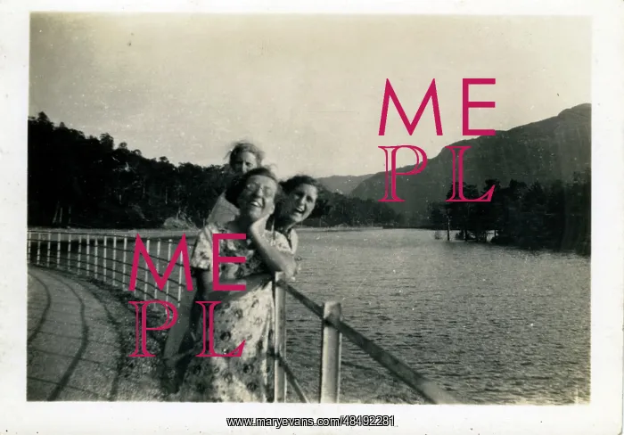 : By the Loch, Loch Katrine, Stirlingshire : By the Loch, Loch Katrine, Stirlingshire