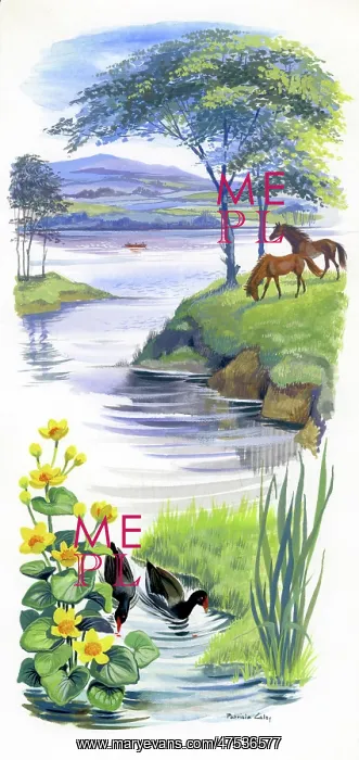 : Loch scene with moorhens and horses : Loch scene with moorhens and horses