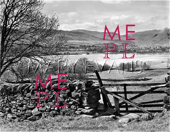 : LOCH TAY. A fine view across Loch Tay, Perthshire, Scotland, : LOCH TAY. A fine view across Loch Tay, Perthshire, Scotland,