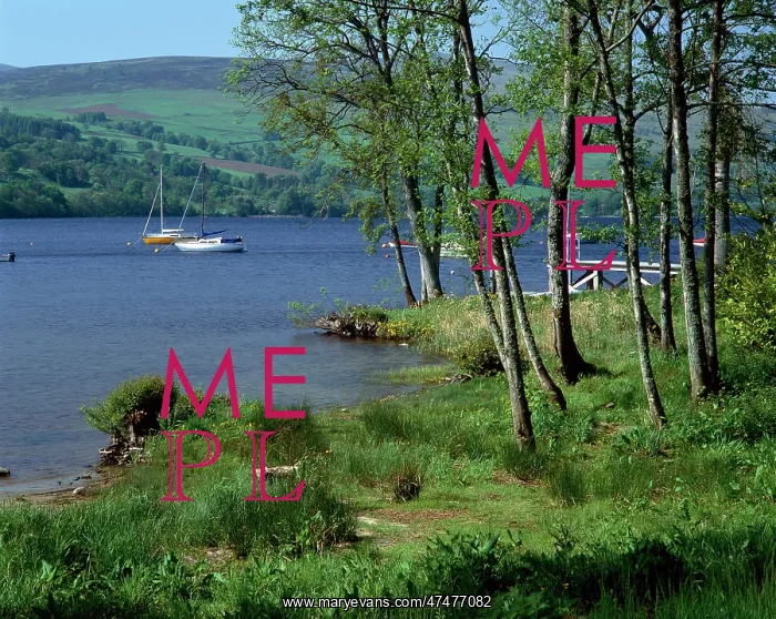  : Loch Tay, Perthshire