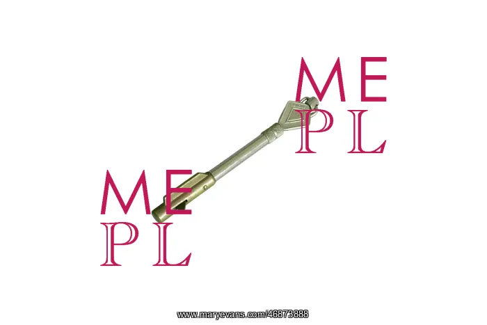  : Any Lock Security Key