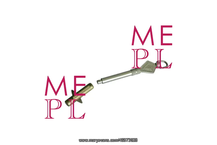  : Any Lock Security Key