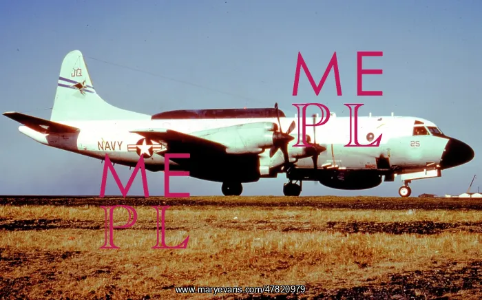 : Lockheed EP-3E Aries 150494 : Lockheed EP-3E Aries 150494