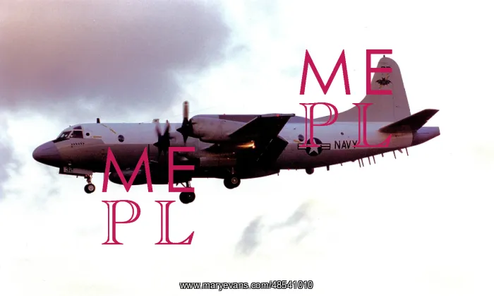 : Lockheed EP-3E Aries II 156511 - PR-32 : Lockheed EP-3E Aries II 156511 - PR-32