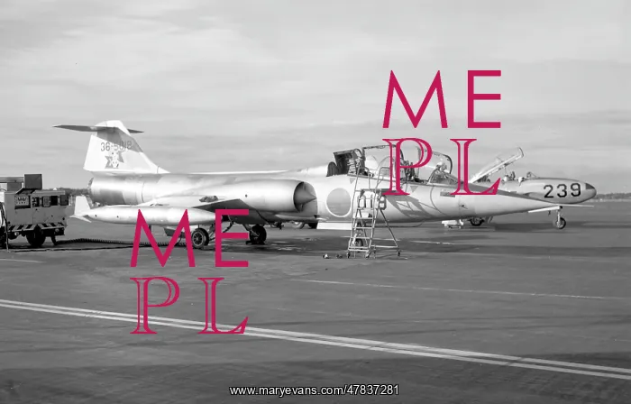 : Lockheed F-104DJ Starfighter 36-5019 : Lockheed F-104DJ Starfighter 36-5019