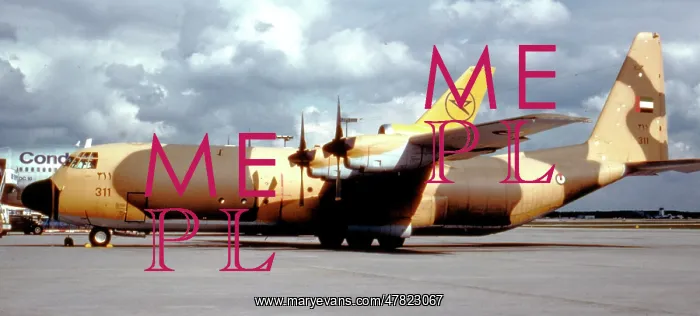 : Lockheed L-100-30 Hercules 311 : Lockheed L-100-30 Hercules 311