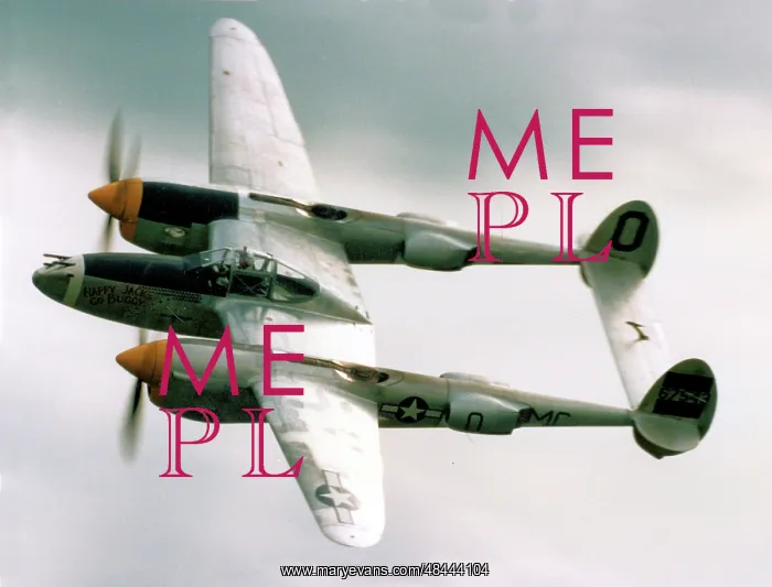 : Lockheed P-38J Lightning N3145X : Lockheed P-38J Lightning N3145X
