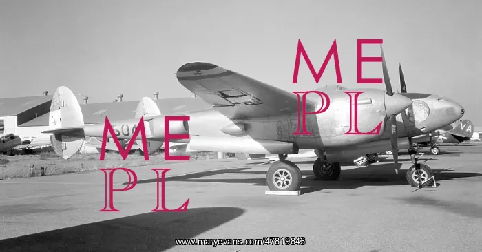  : Lockheed P-38M Lightning 504