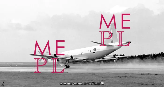 : Lockheed P-3B Orion NZ4201 : Lockheed P-3B Orion NZ4201