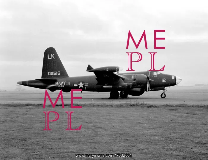 : Lockheed P2V-5F Neptune 131516 : Lockheed P2V-5F Neptune 131516