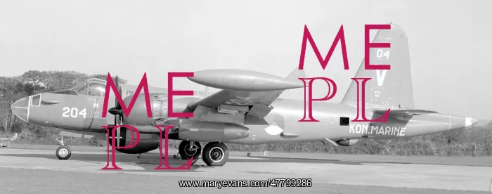: Lockheed SP-2H Neptune 204 : Lockheed SP-2H Neptune 204
