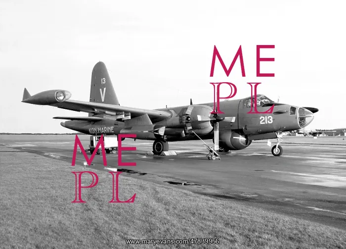 : Lockheed SP-2H Neptune 213 : Lockheed SP-2H Neptune 213