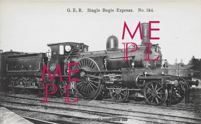  : Locomotive no 254 single bogie express