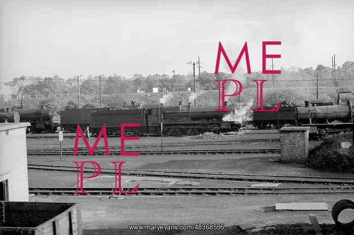 : Locomotive yard with six steam engines : Locomotive yard with six steam engines